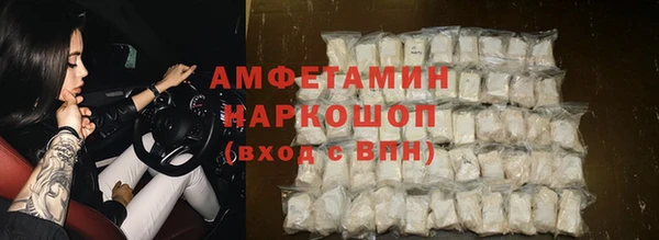Альфа ПВП Верея