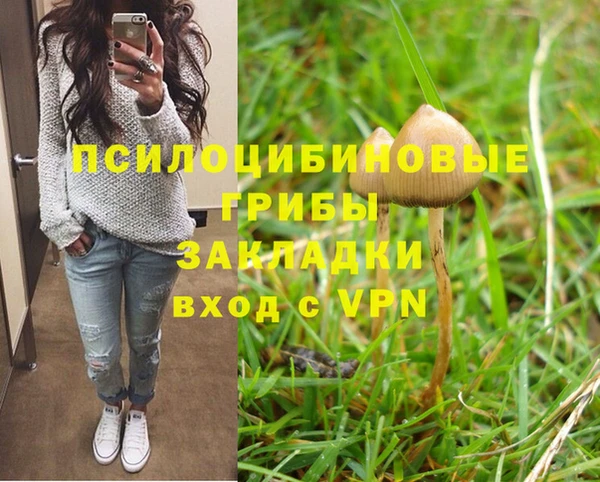 Альфа ПВП Верея