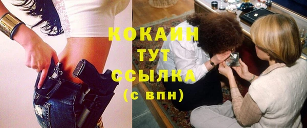 Альфа ПВП Верея