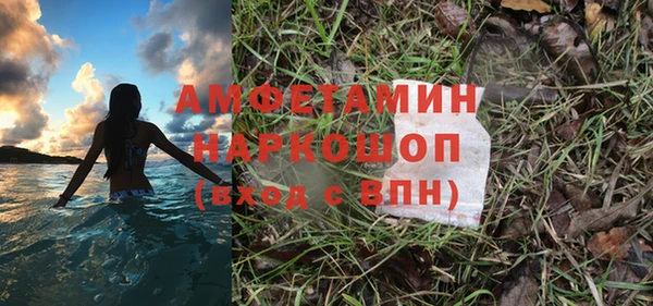 Альфа ПВП Верея