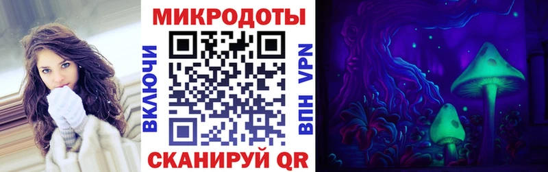 Псилоцибиновые грибы прущие грибы  Гатчина 