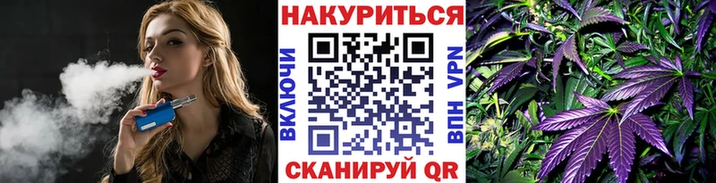 Канабис Amnesia Гатчина